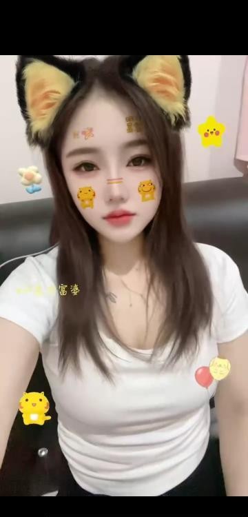 观澜长腿小野猫