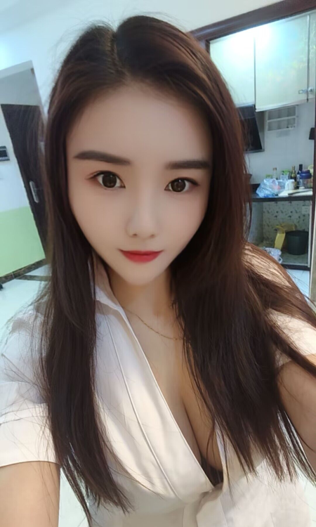 增城新塘姐姐燕子