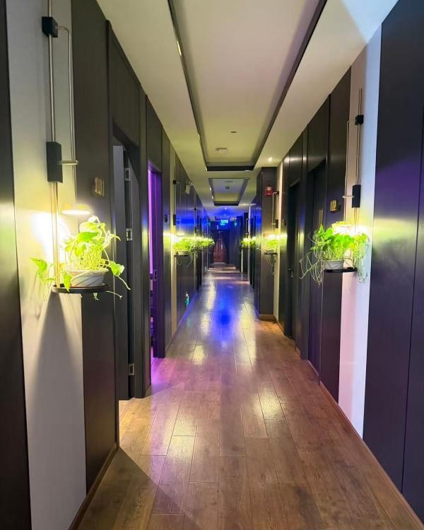 虹口区超大型T台海选