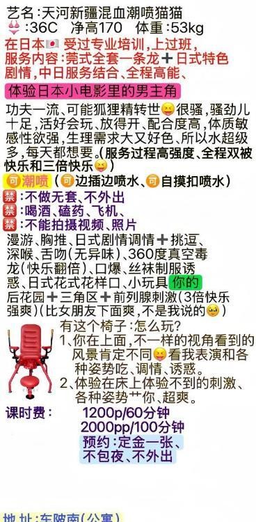 天河潮喷新疆猫猫