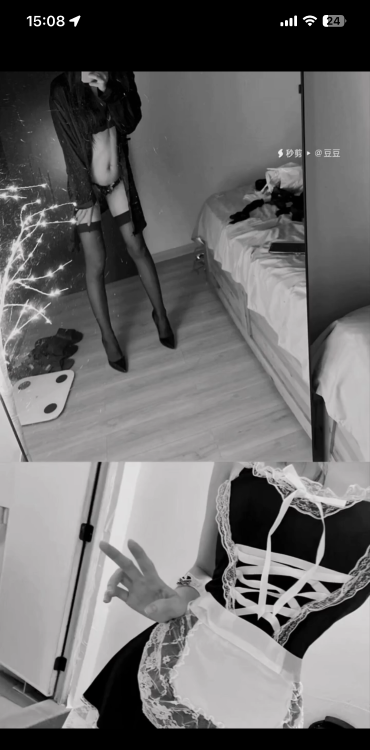 秦淮区蛇纹豆豆