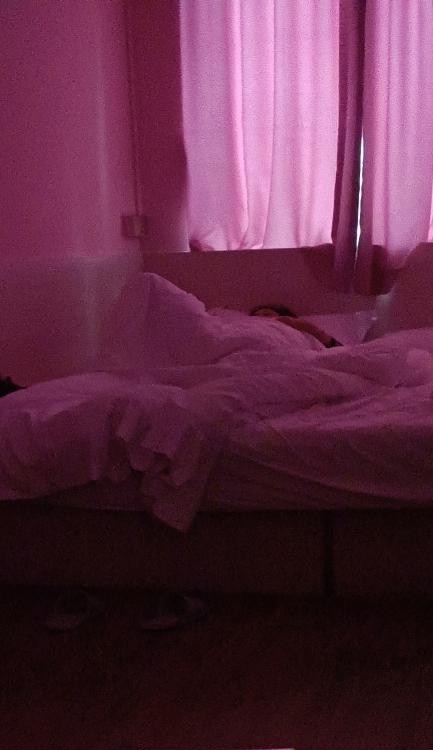 南海好服务嫣儿