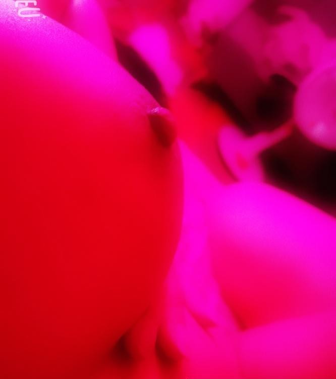 武汉光谷小骚骚