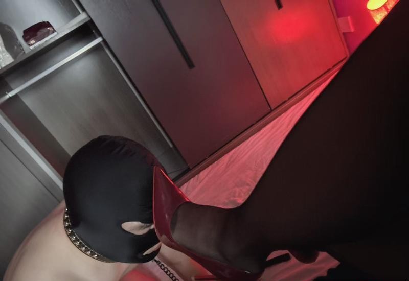 蜀山服务系女王