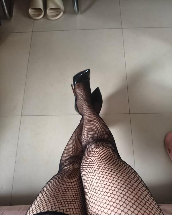 金台夕照附近丝袜姐姐