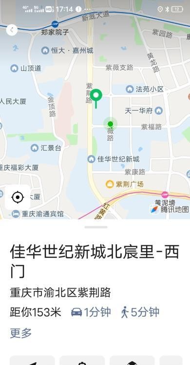 紫薇路熟女风信子