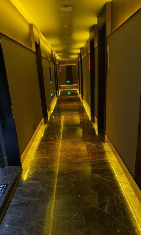 上海金鱼缸大型选妃