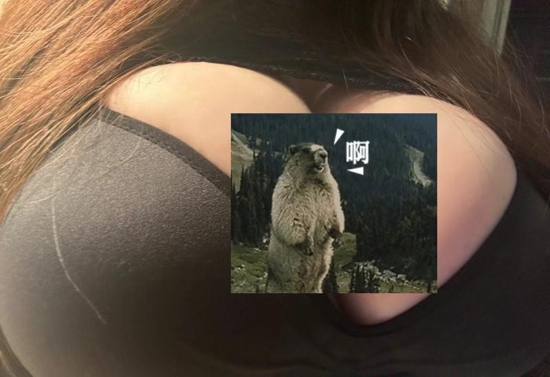 奉贤巨乳妹子体验