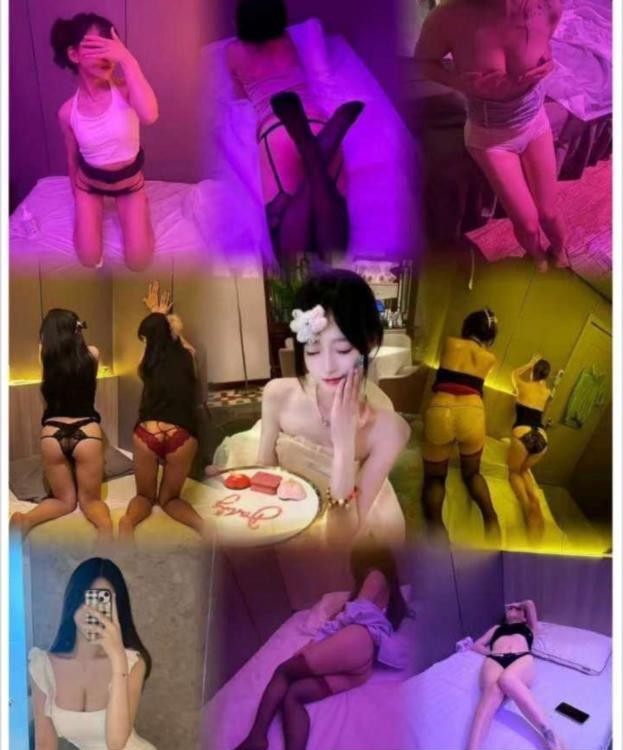 石家庄双飞姐妹花