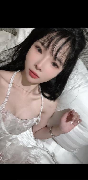 石景山小碟回来啦