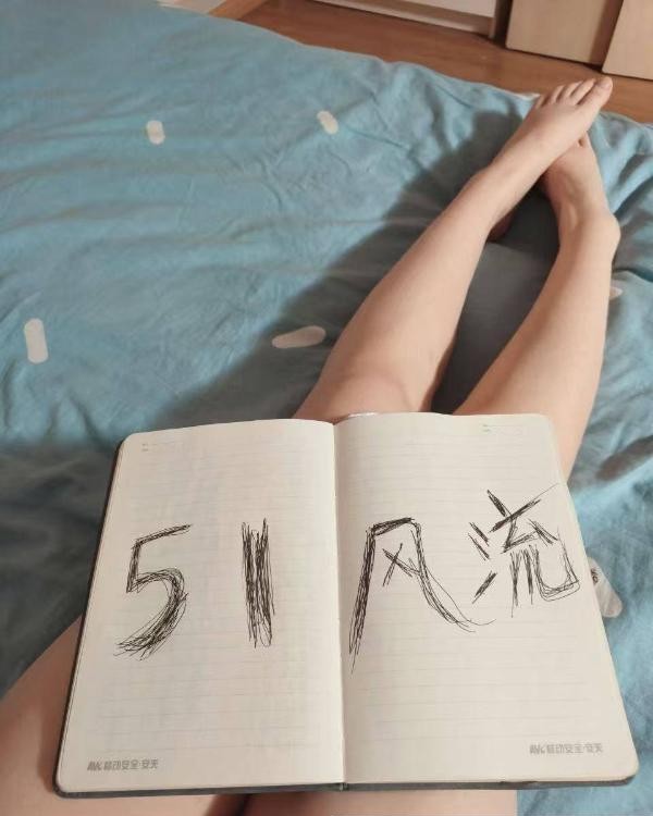 南开安木爽记