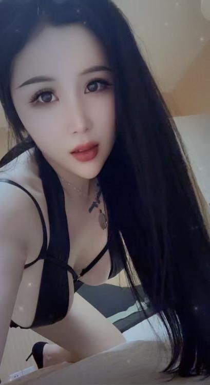 龙岗布吉小狐狸