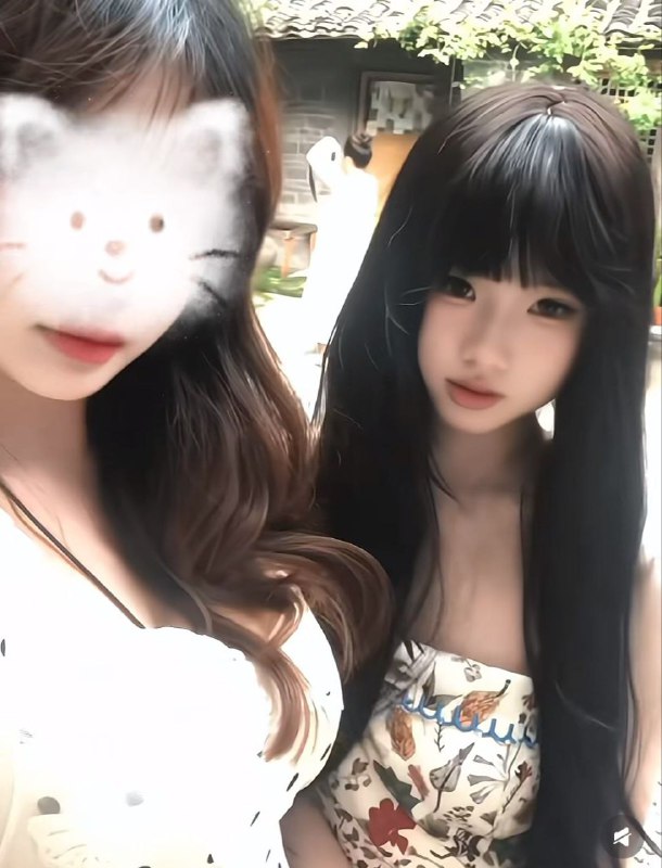 新茶