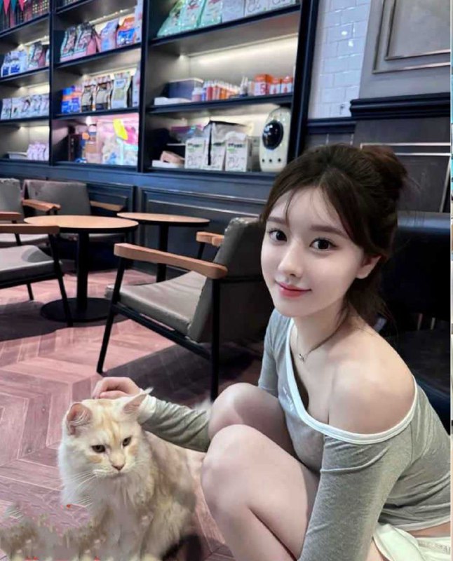 新茶