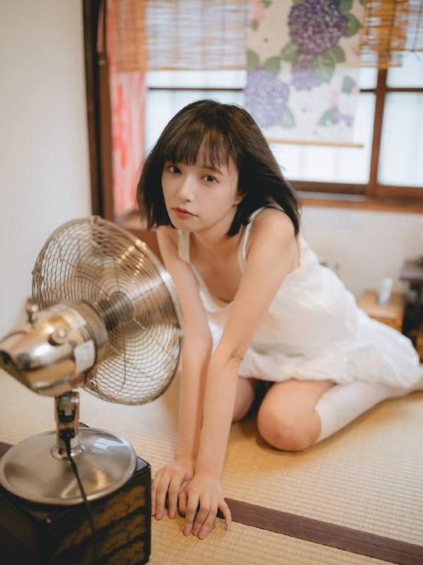 有公寓