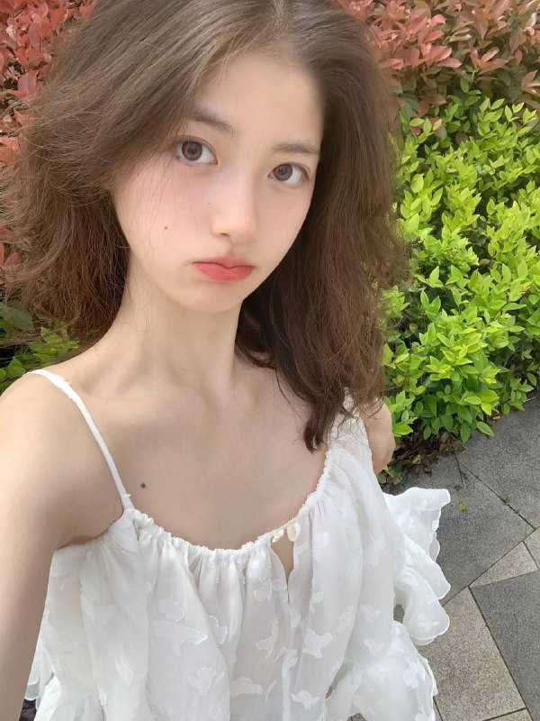 新茶