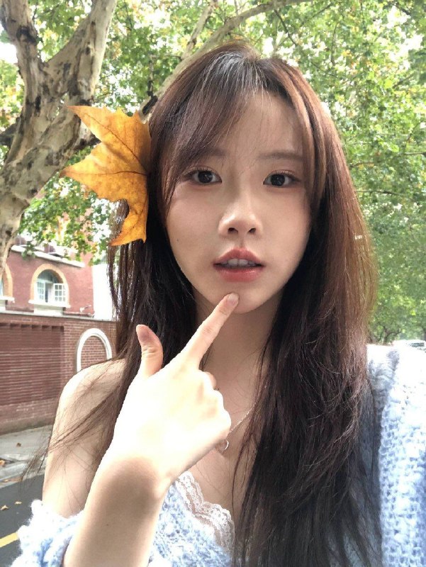 全套